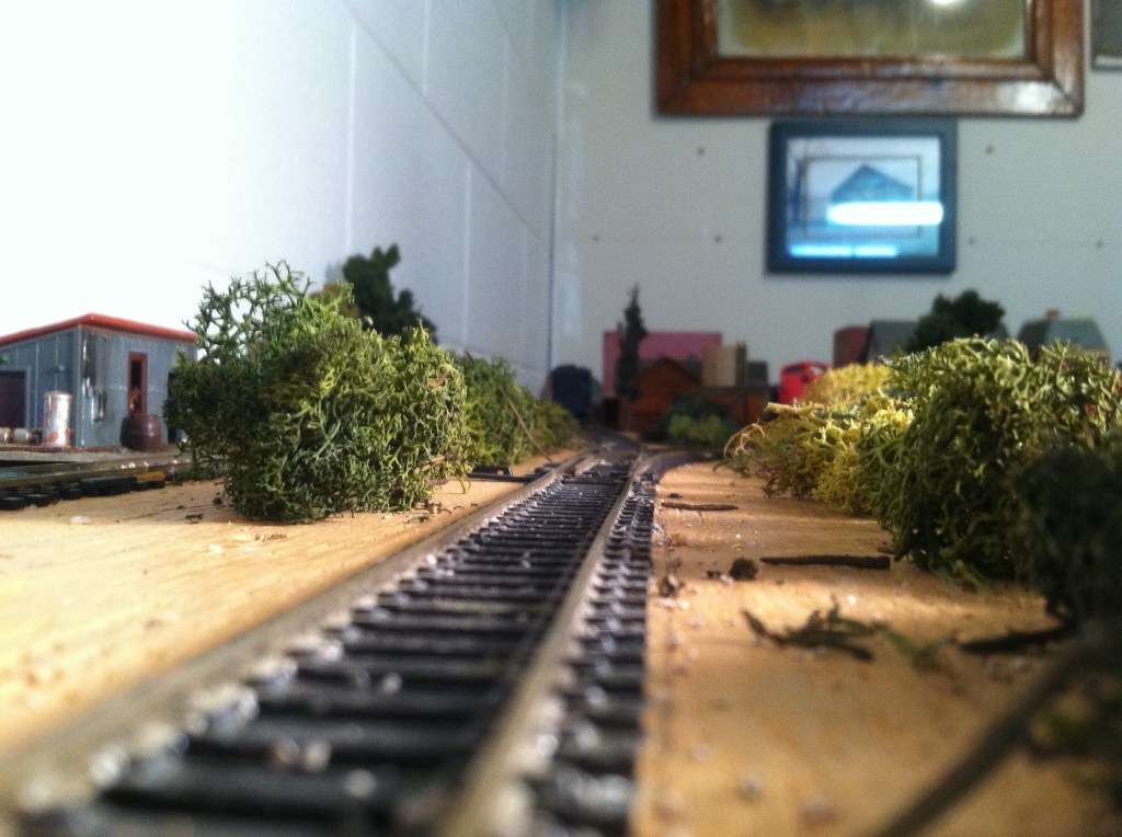 Track, bushes, buildings