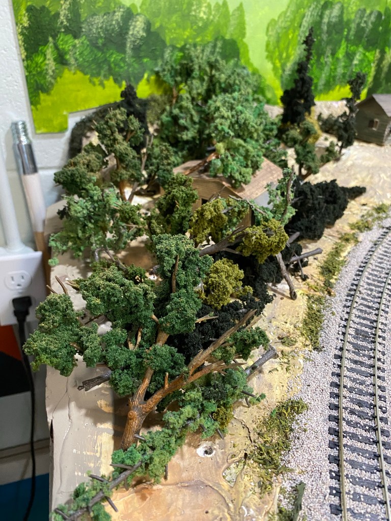 Several deciduous trees, track, and backdrop