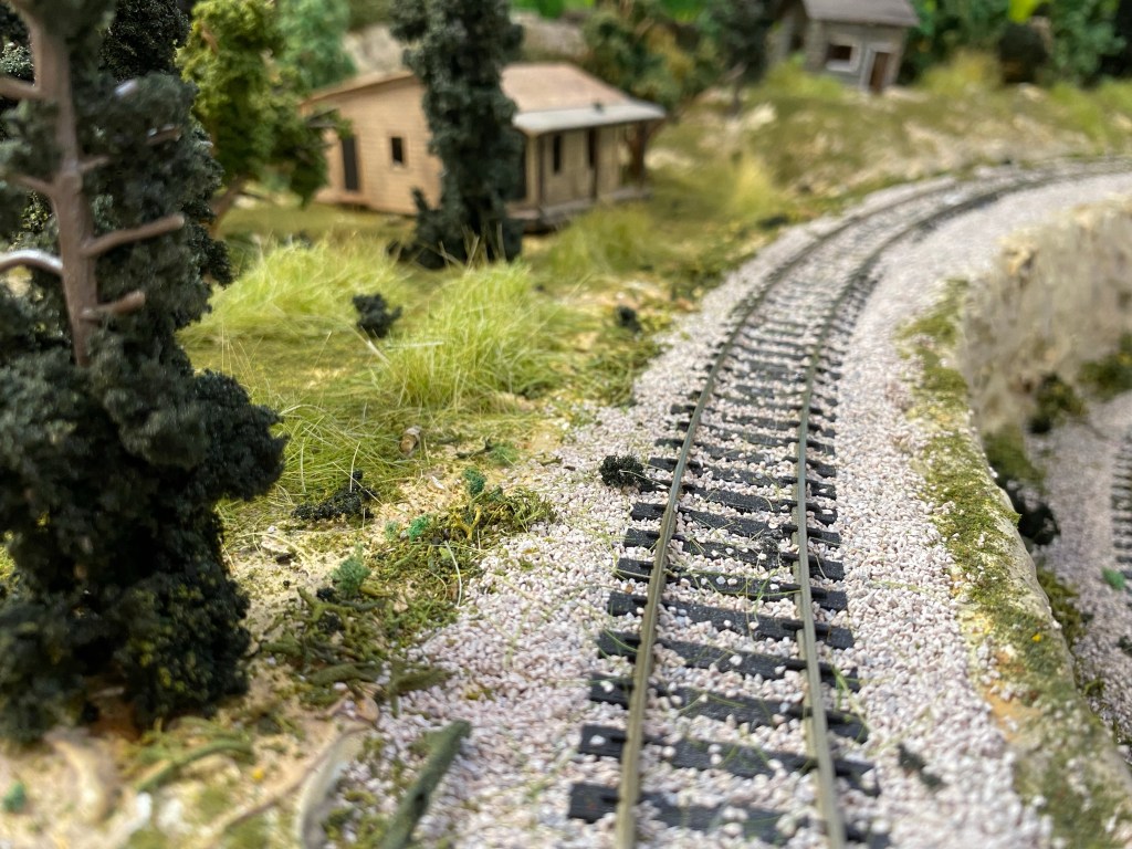 HO scale track, grasses, pine trees, rustic cabins