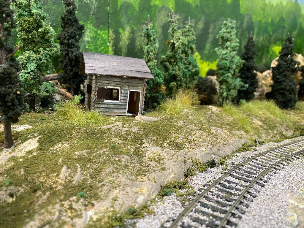 HO scale cabin, pine trees, curved track, forest backdrop, grasses