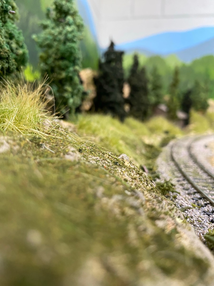 Grassy hillside, pine trees, grass, HO scale track