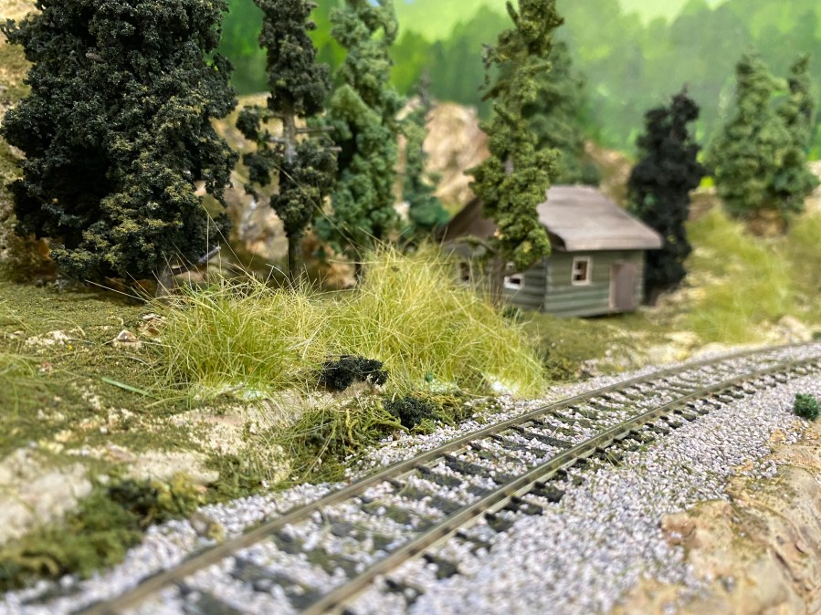 HO scale track, grasses, rustic green cabin, pine trees, grasses