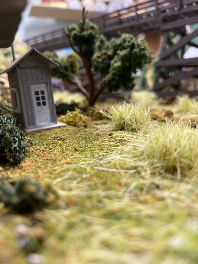 Weeds, trees, a bridge, a small shed