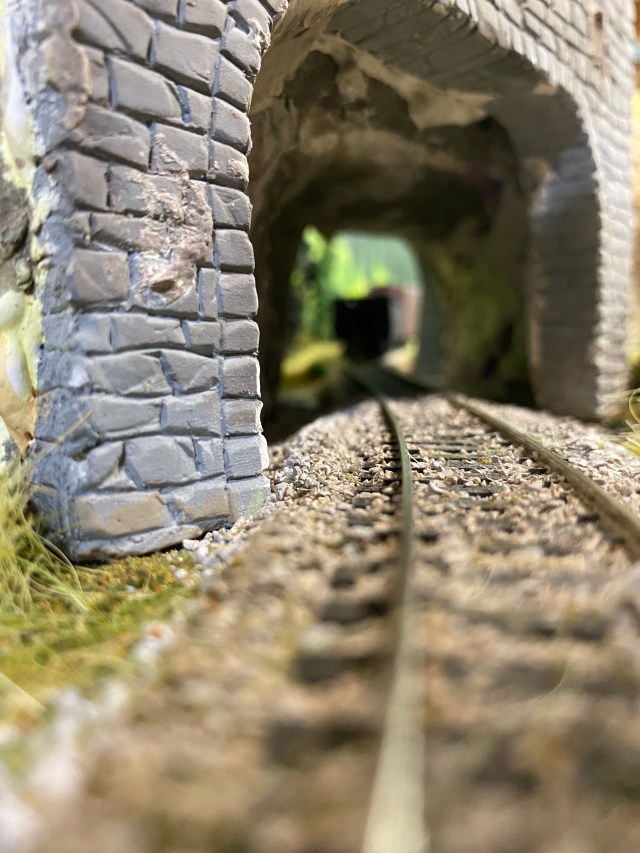 Track, a train tunnel, weeds
