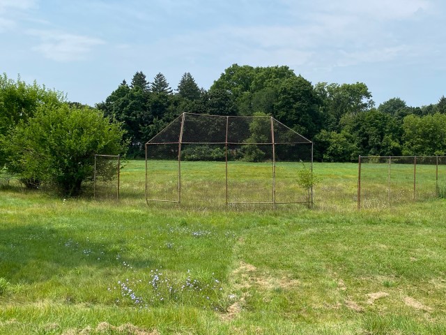Baseball backstop, fences, trees, grass