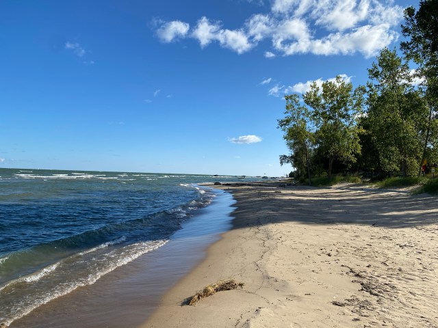 Beach, water, waves, trees, sun, shade