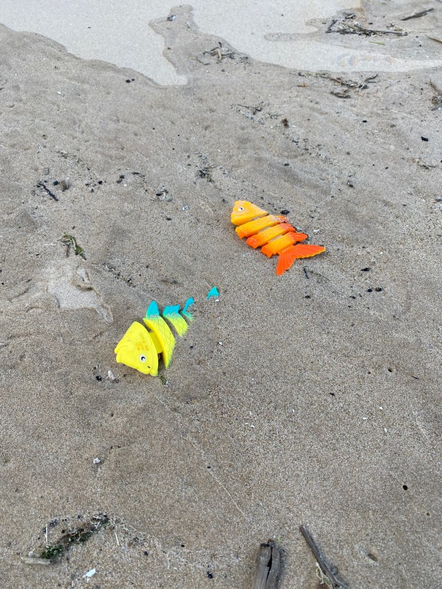 Toy fish on the sand