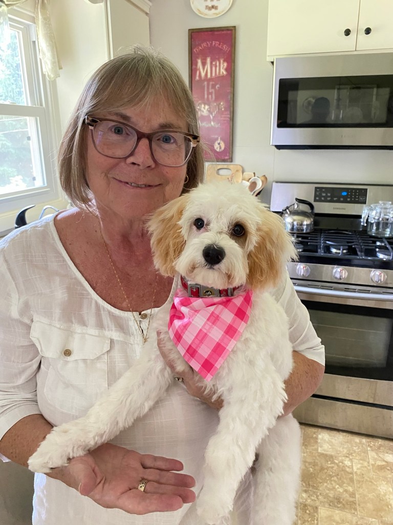 Gracie just returned from her first visit to the groomer.